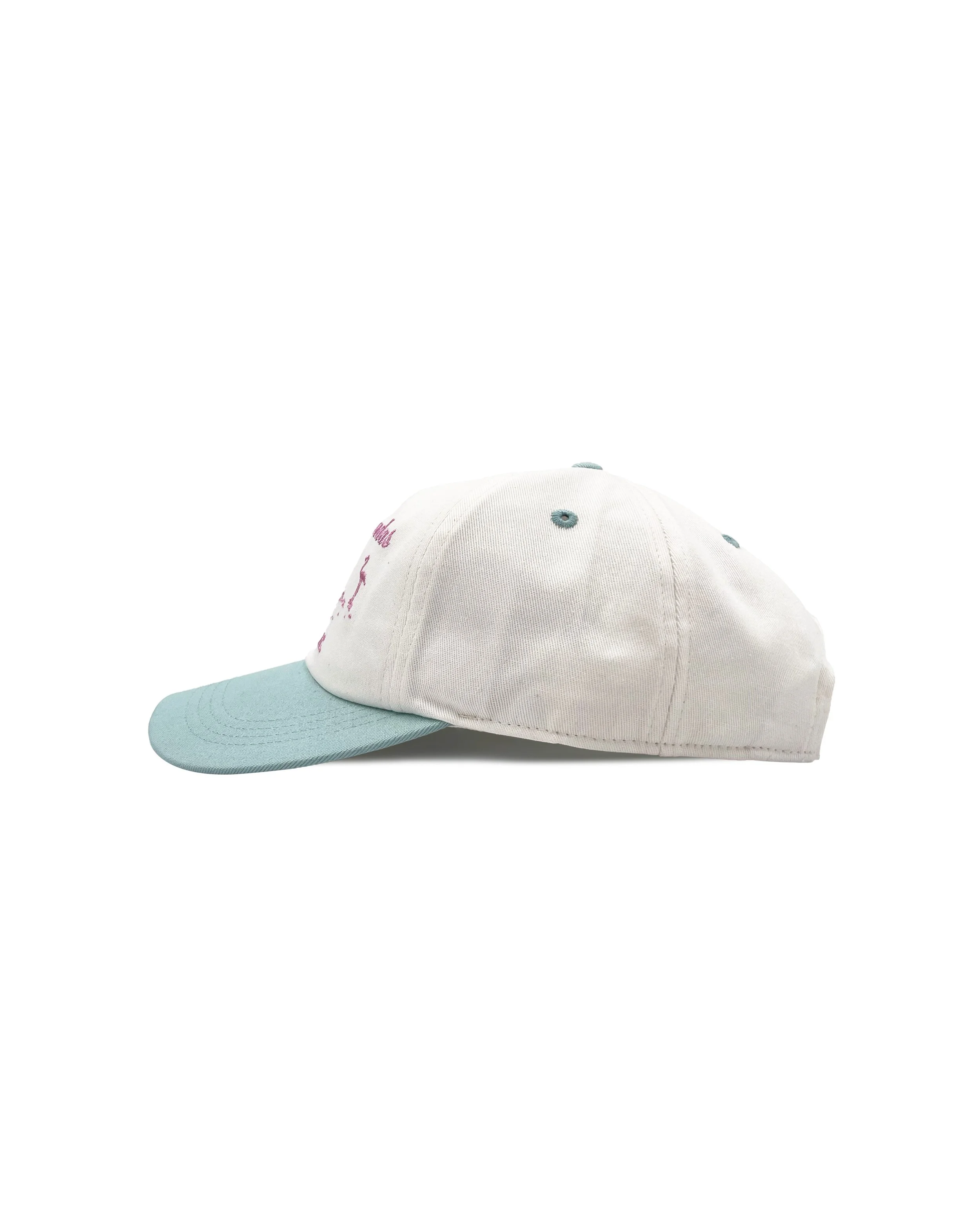 VISIT_CAP_HAT_LASCOLORADAS_BLUE_PINK_WHITE_02.jpg
