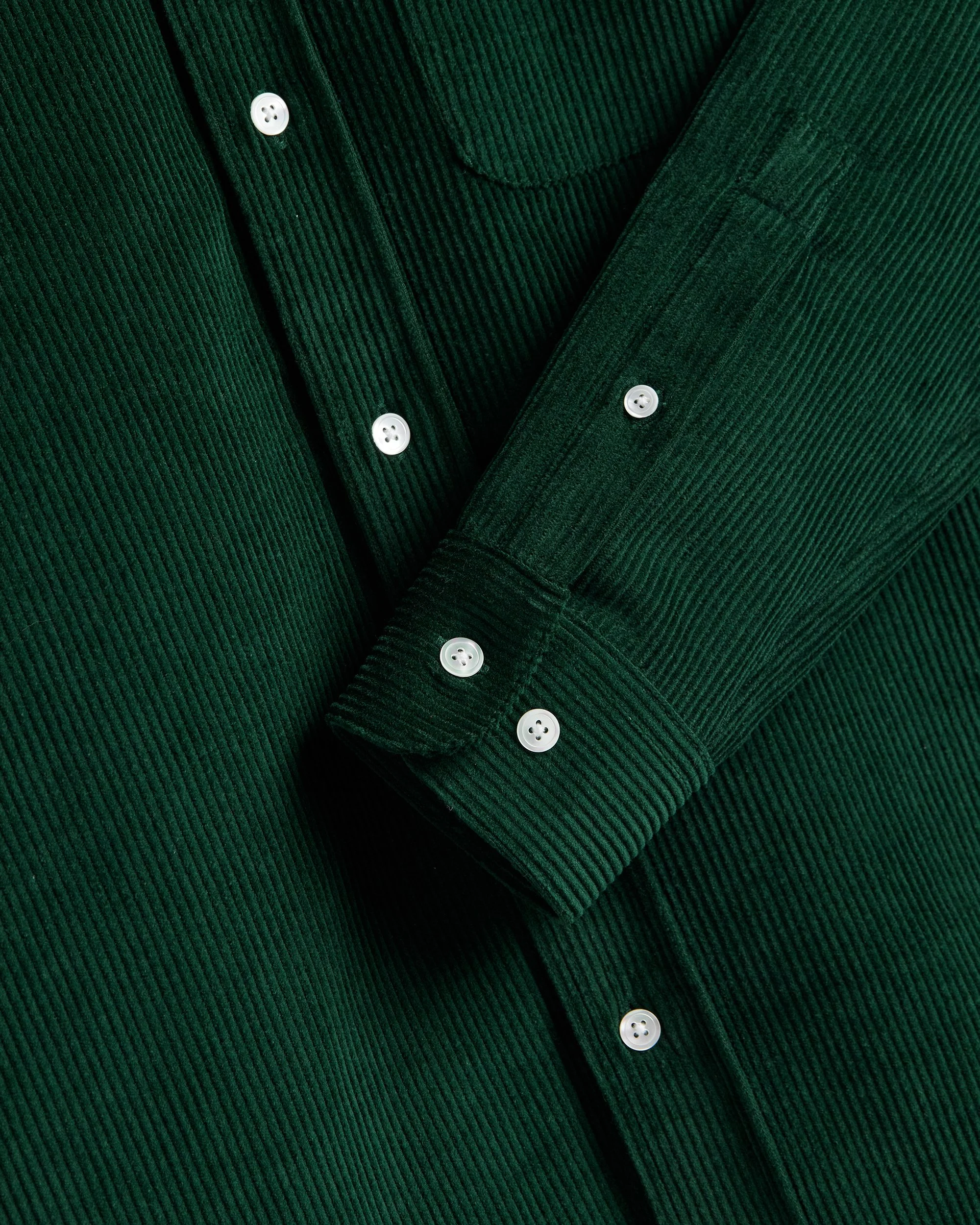 LOBO - GREEN_ 4.JPG