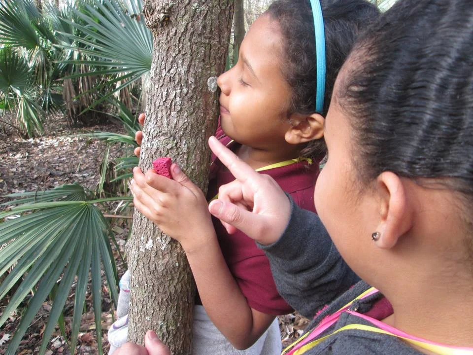 This weekend, grab a friend and get in touch with the natural world!