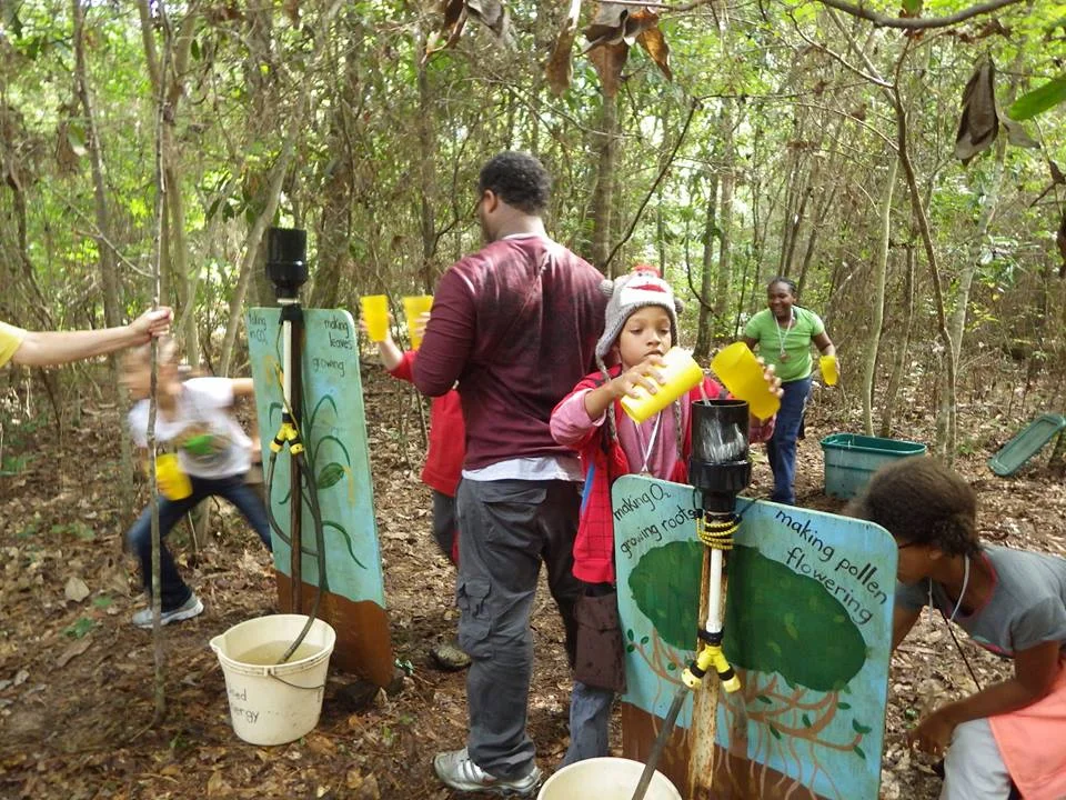 Helping the sun's energy flow through the food chain!