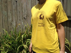 Sunship Earth