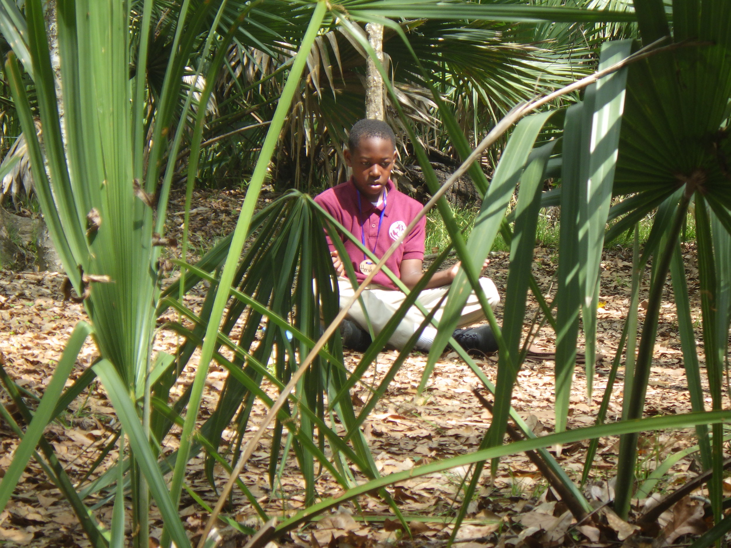 RIMG4874.JPG