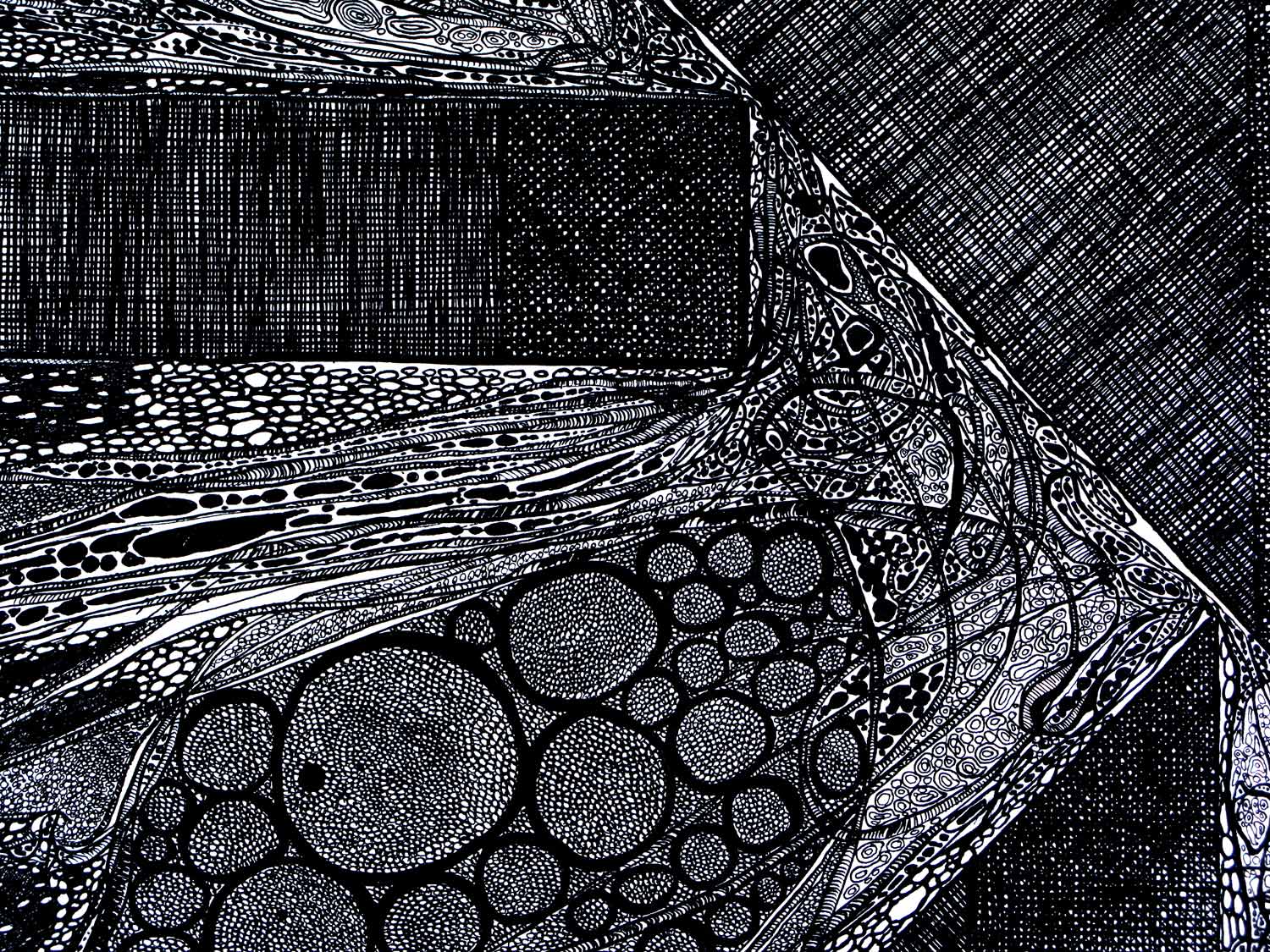 Désintégration d'une cellule et sa multiplication n°3