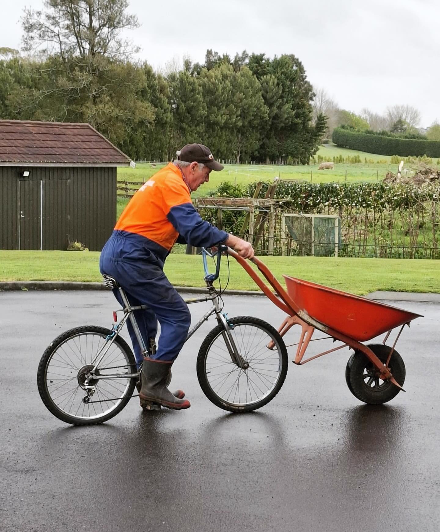 Pop&rsquo;s still got it!
#kiwistyles #safetyfirst 😉