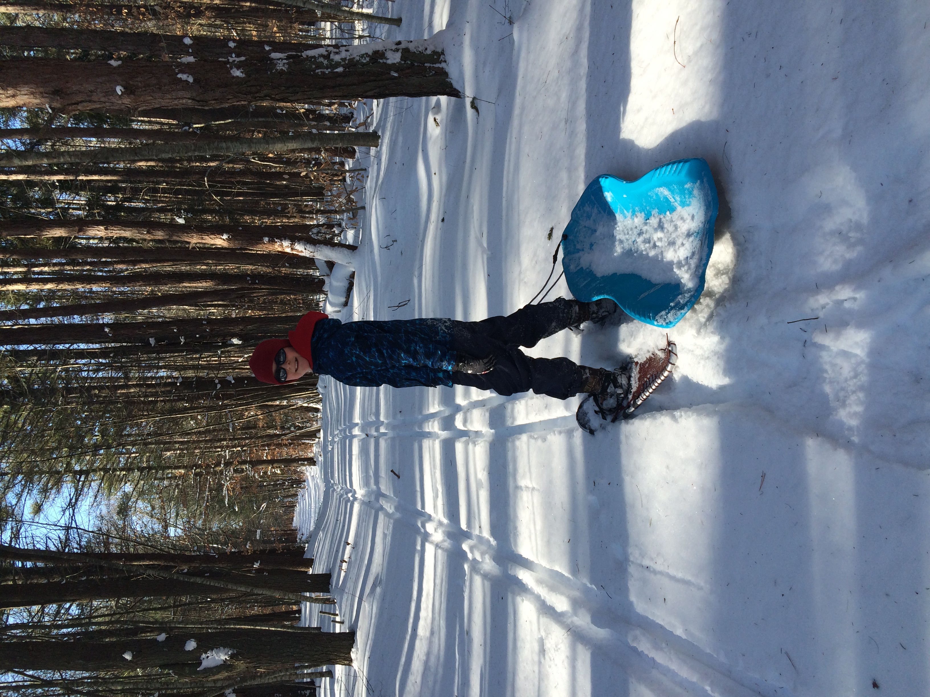 Some cross country skiers had been down the trail before us.