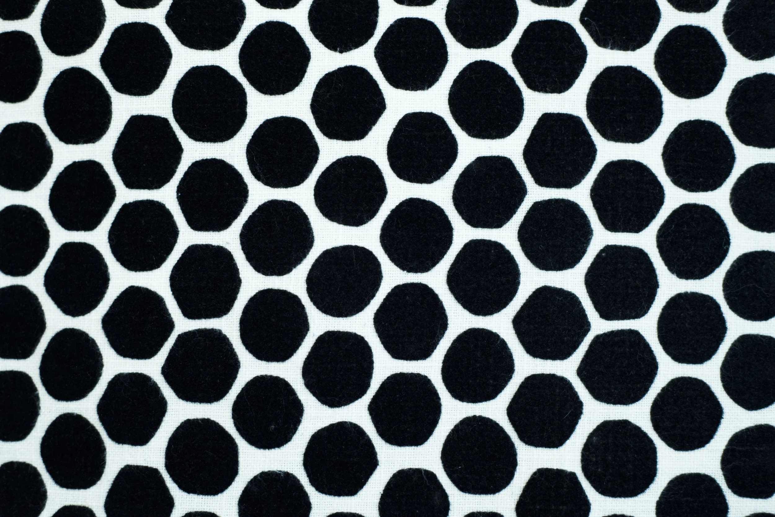 PolkaDots.jpg