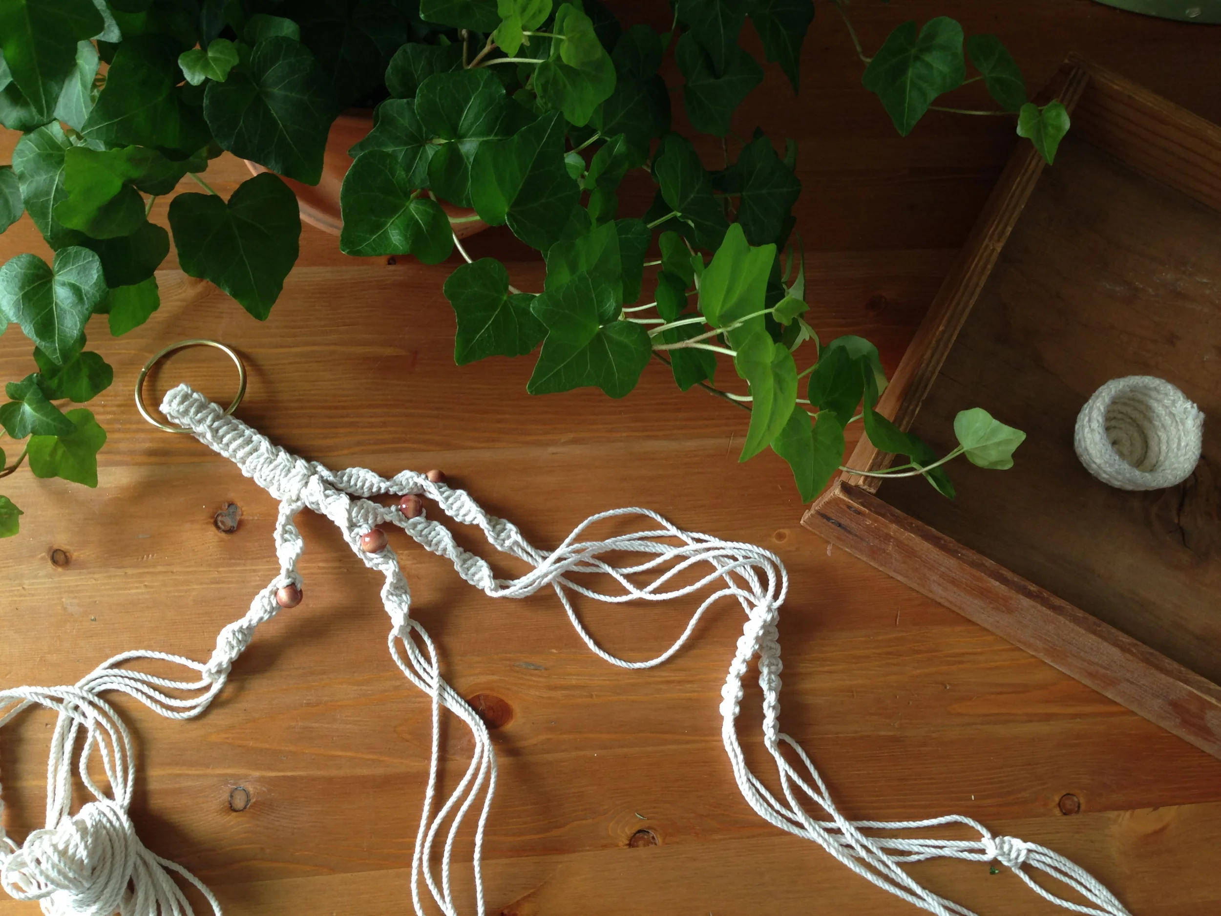 photo 1 (11).JPG