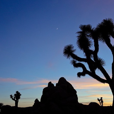 Have been in the desert for a trip that just got extended for an @atlasobscura event in SF so unfortunately we will not be at the @babe.coven #witchesnightout event tomorrow but we're extremely excited to release the zine in December and are very tha