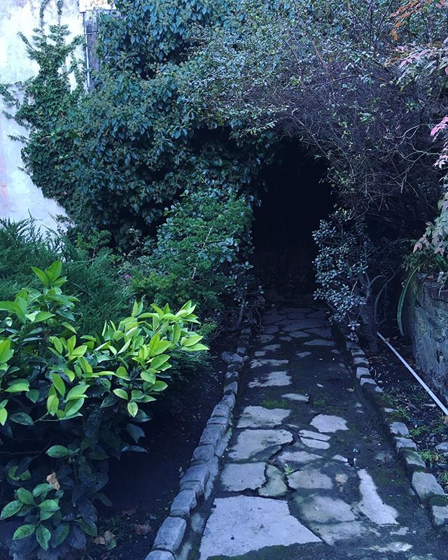 Currently in SF doing a food installation at a castle but when I get back it will be all magazine updates! Have been cooking up some really exciting news. Release date is set for December 6th, all preorders will ship then. Order between now and Dec 6
