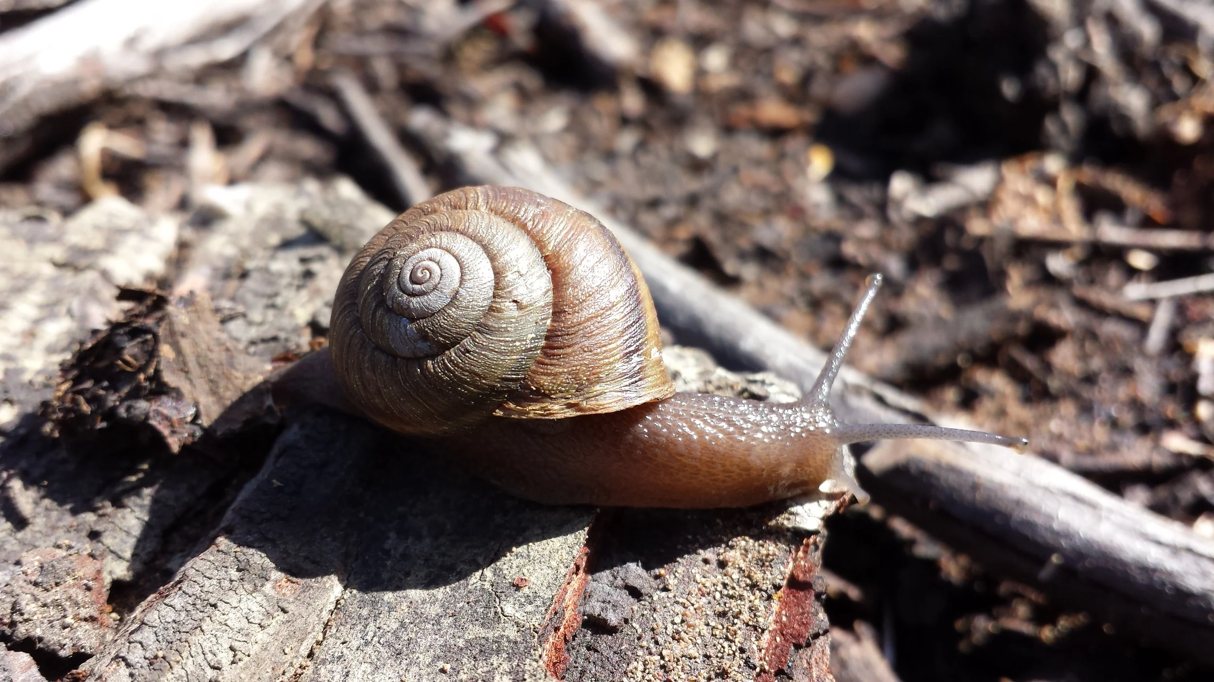 2015-04-07 16.00.07.jpg