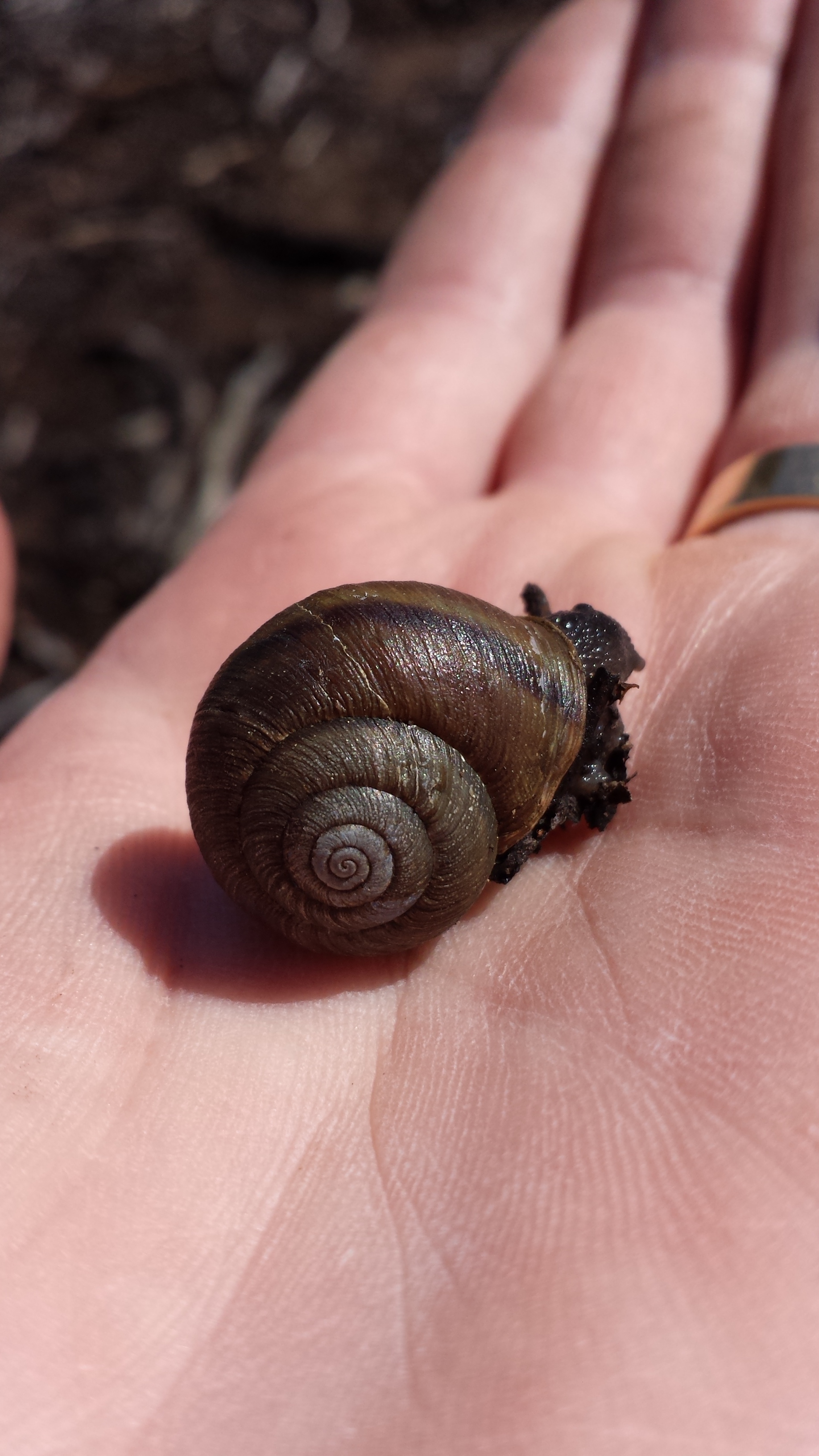 20150407_155704.jpg