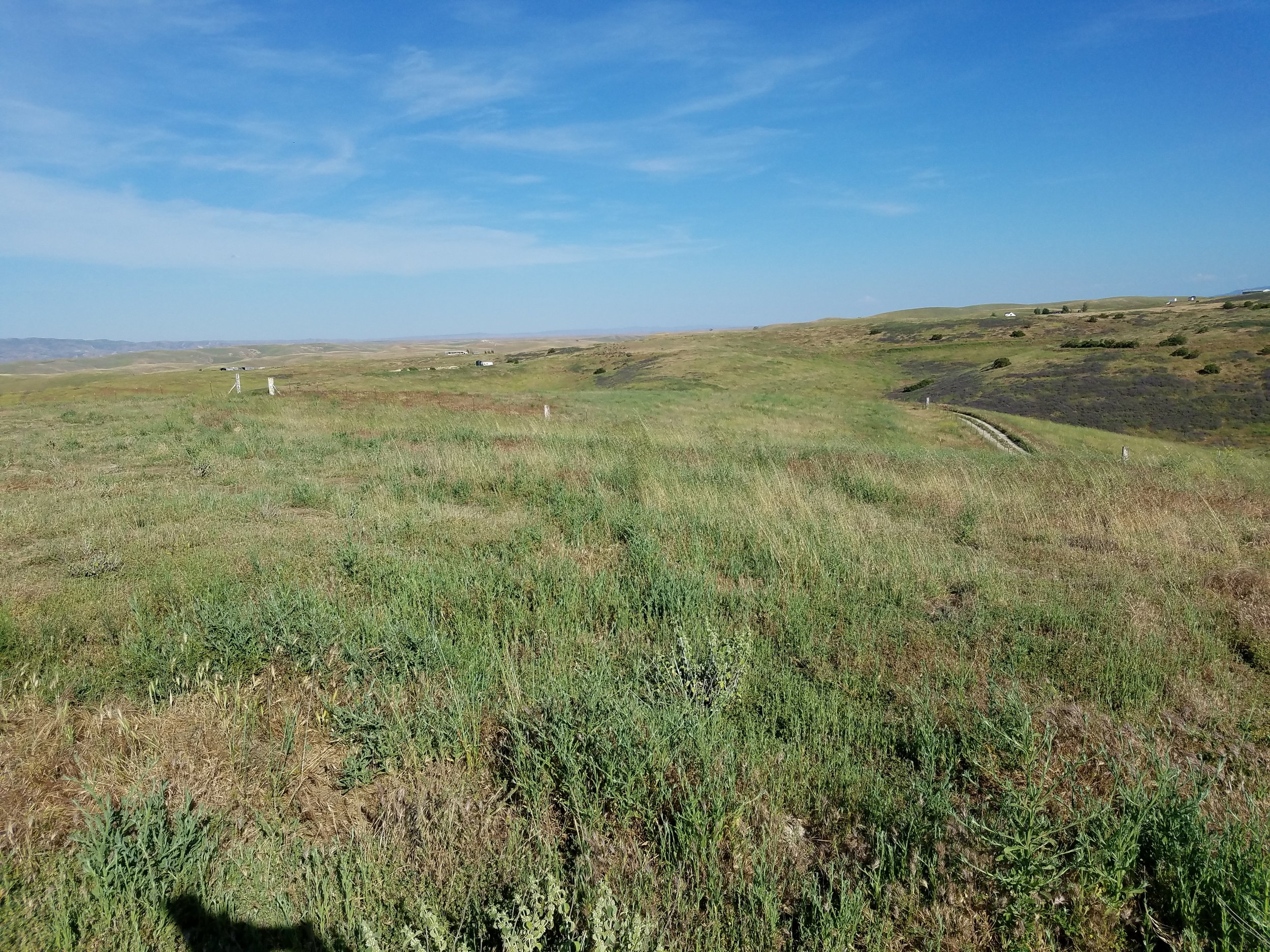 20170503_171306.jpg
