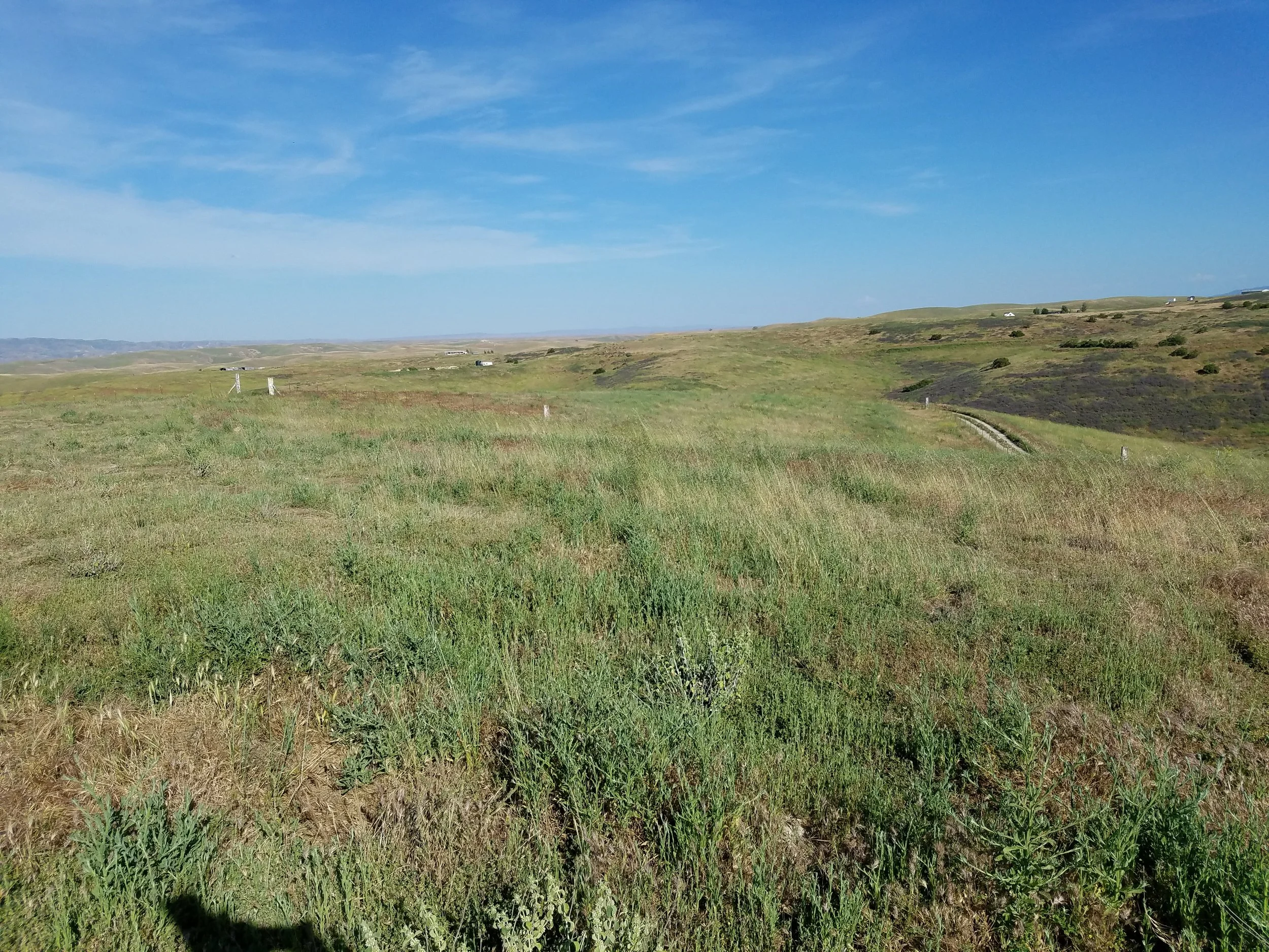 20170503_171306.jpg