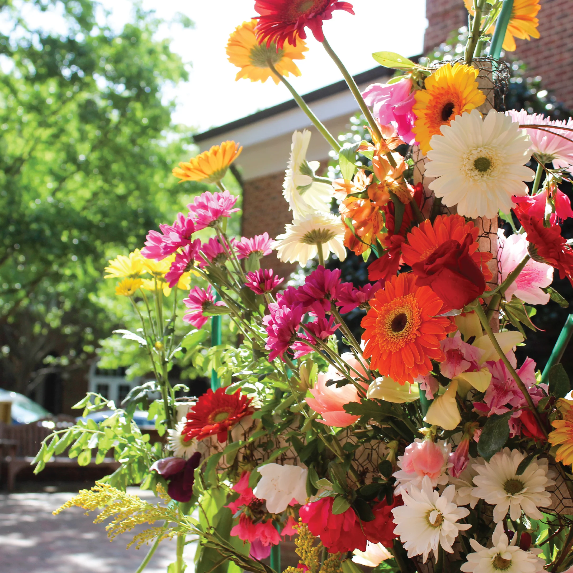 Invitations Preview cross-02.jpg