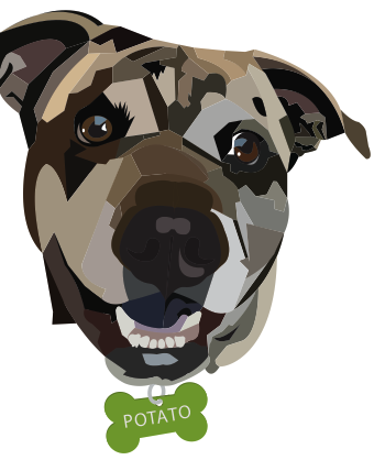 Screen Shot 2021-05-06 at 12.12.37 AM.png