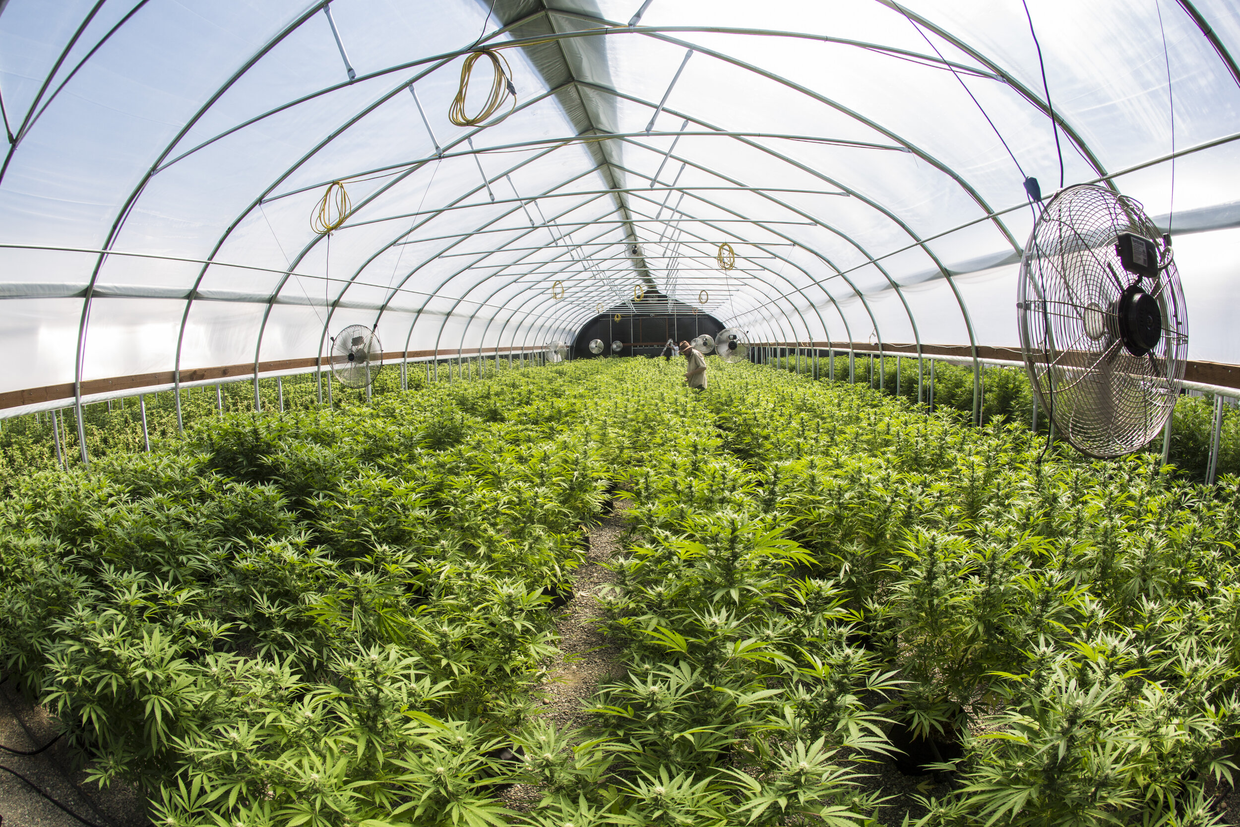 Sneak peek! Bourdain in Seattle