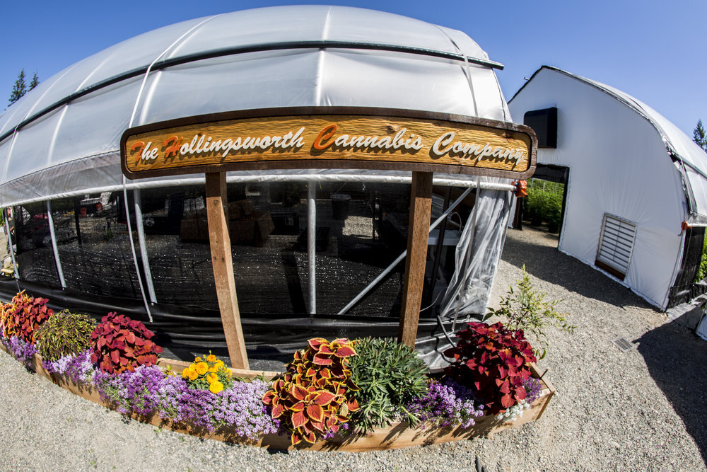 greenhouse sign.jpeg