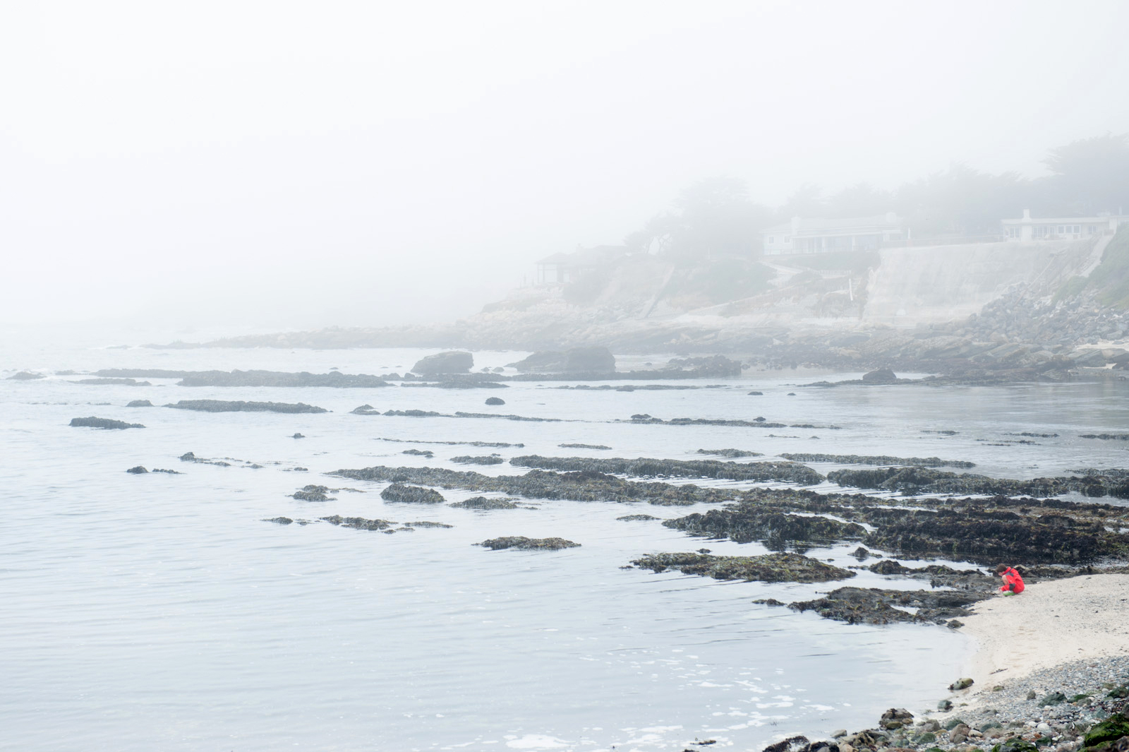 008_Hwy1_Tidepools.jpg
