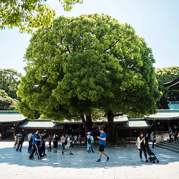 BusinessJapan4.jpg