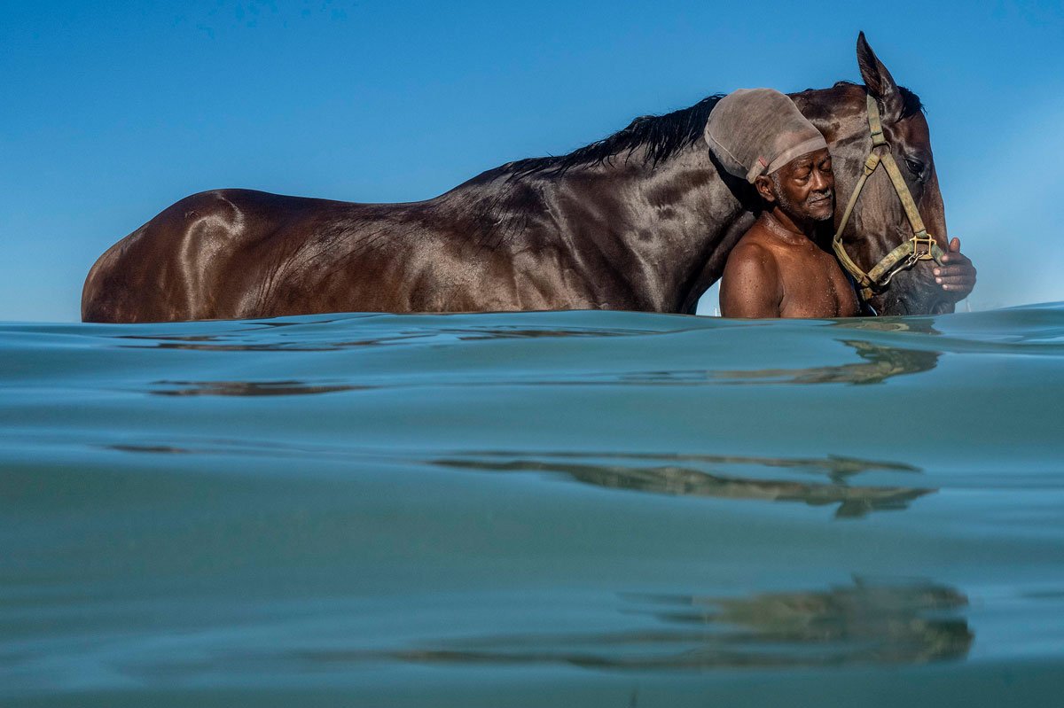 SEA-HORSES-_34.jpg