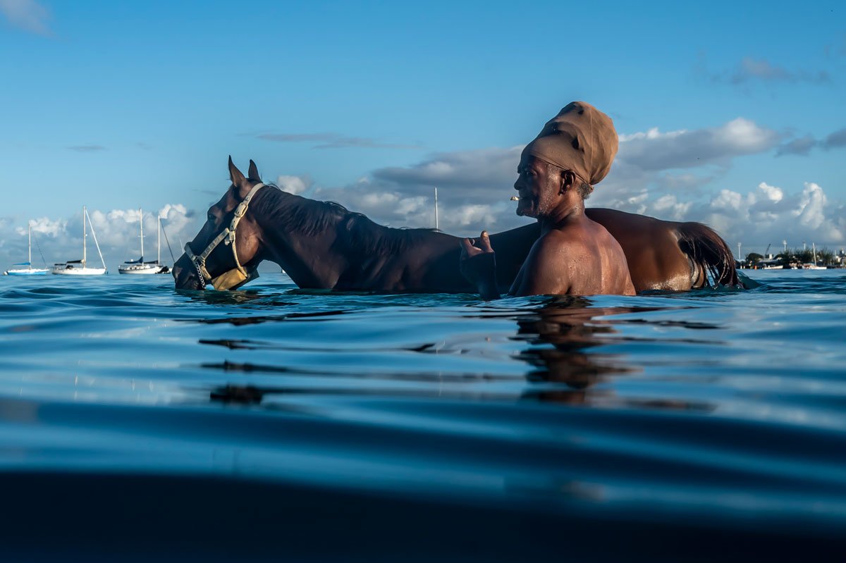 SEA-HORSES-_8.jpg