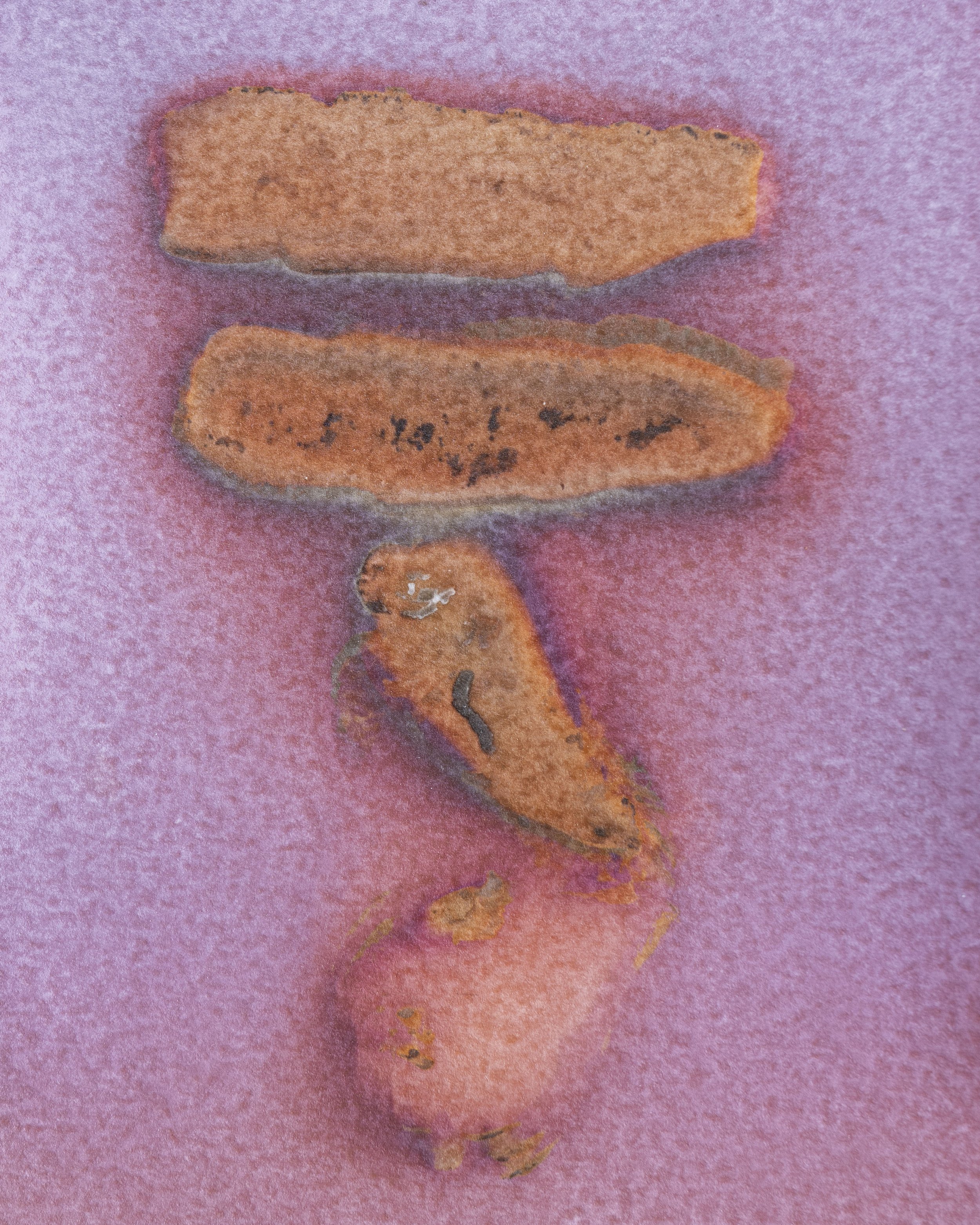 Oca and Mashua.jpg