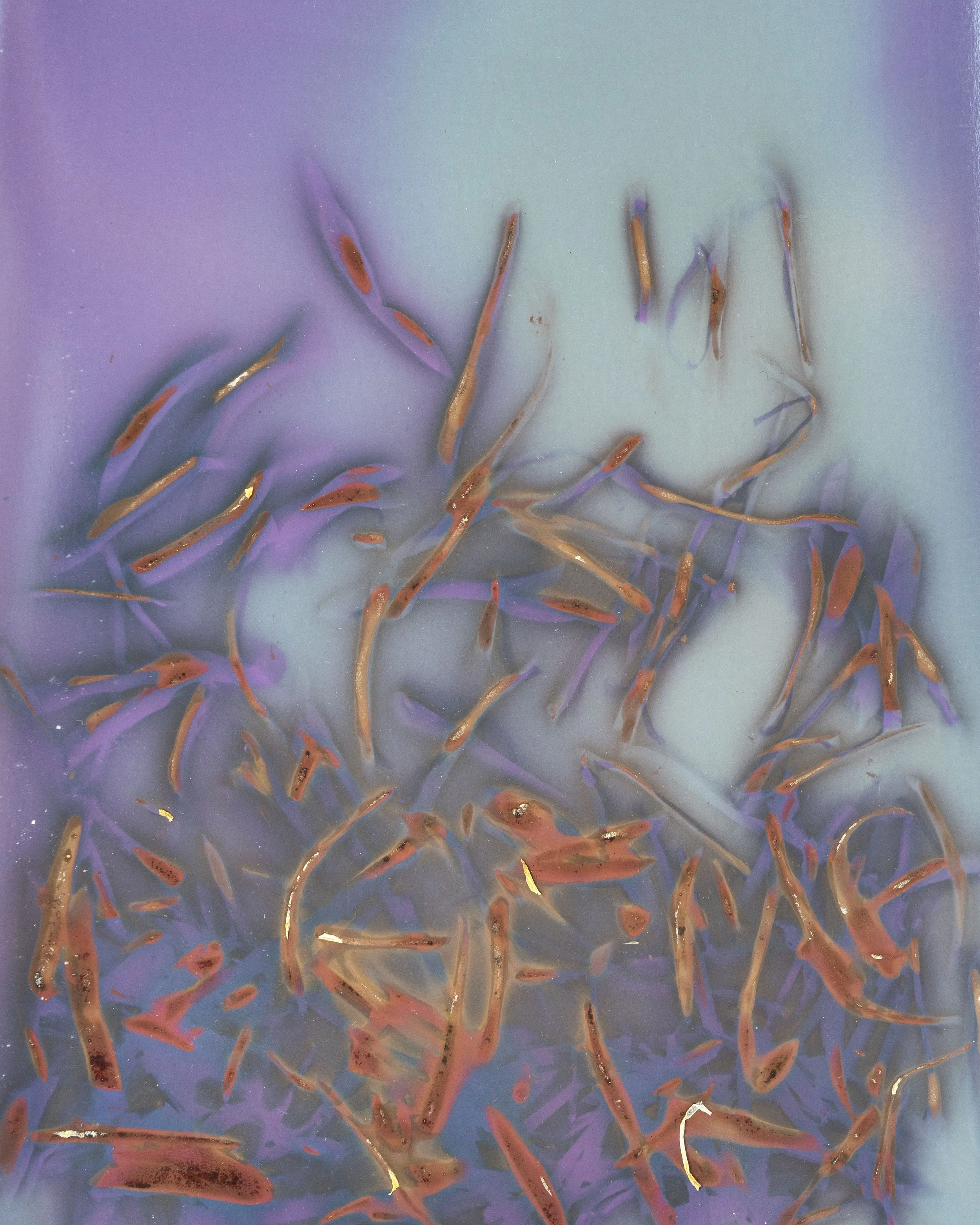 Ollucos for soup.jpg