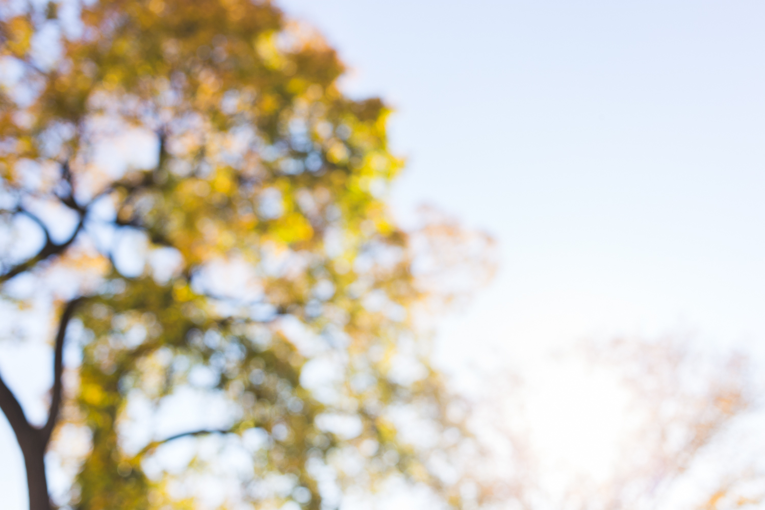 washingtondc_fall_thedefineschool_artoftheunexpected-2.jpg