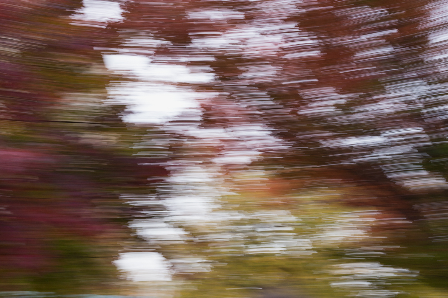 washingtondc_fall_thedefineschool_artoftheunexpected-5.jpg