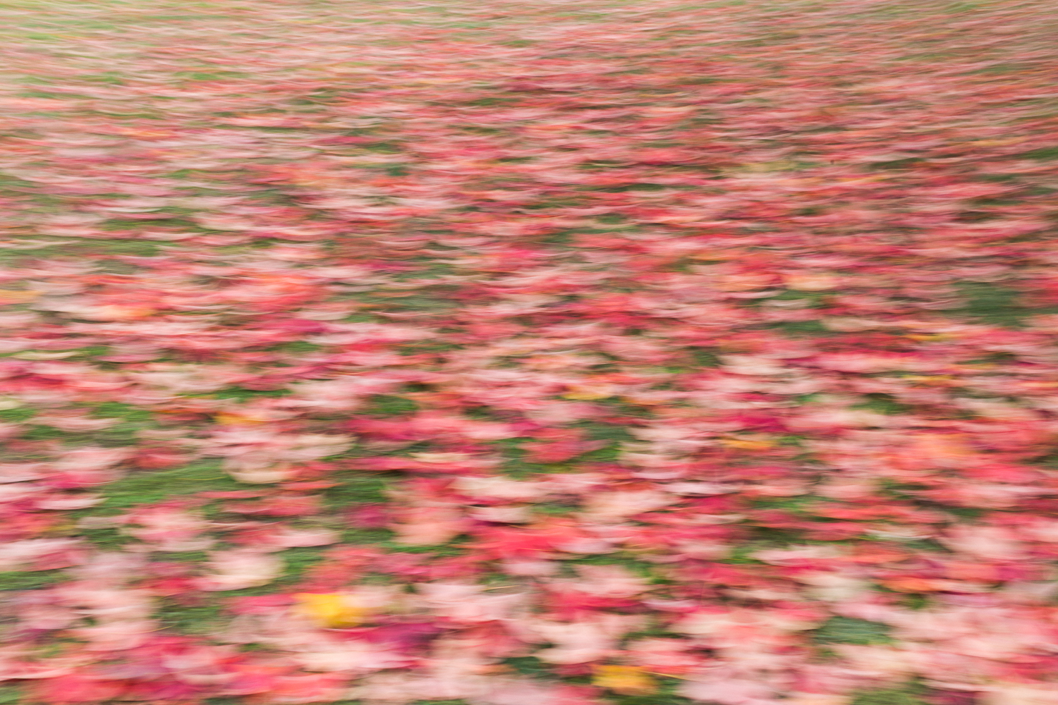 washingtondc_fall_thedefineschool_artoftheunexpected-6.jpg