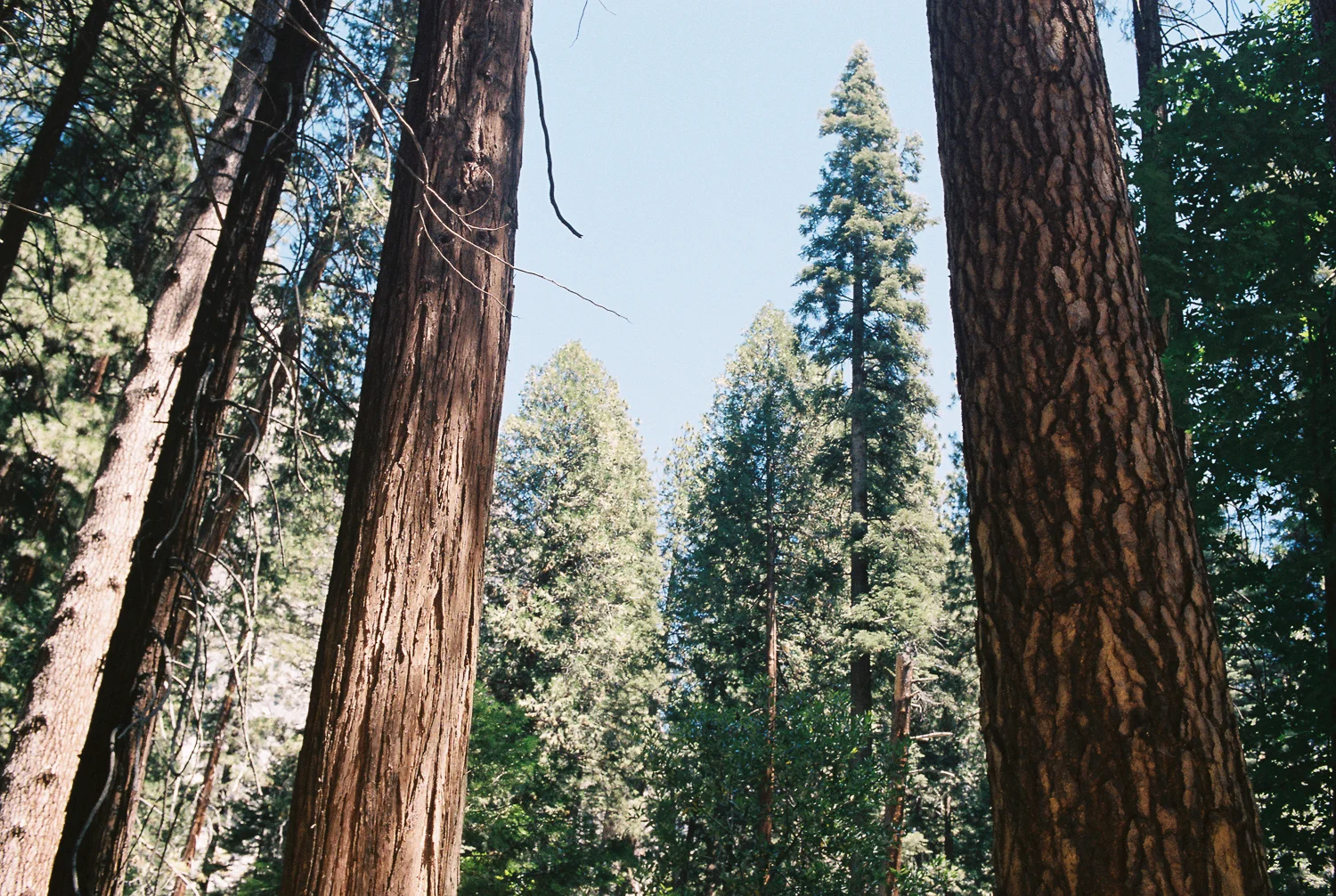 california_film-12.jpg