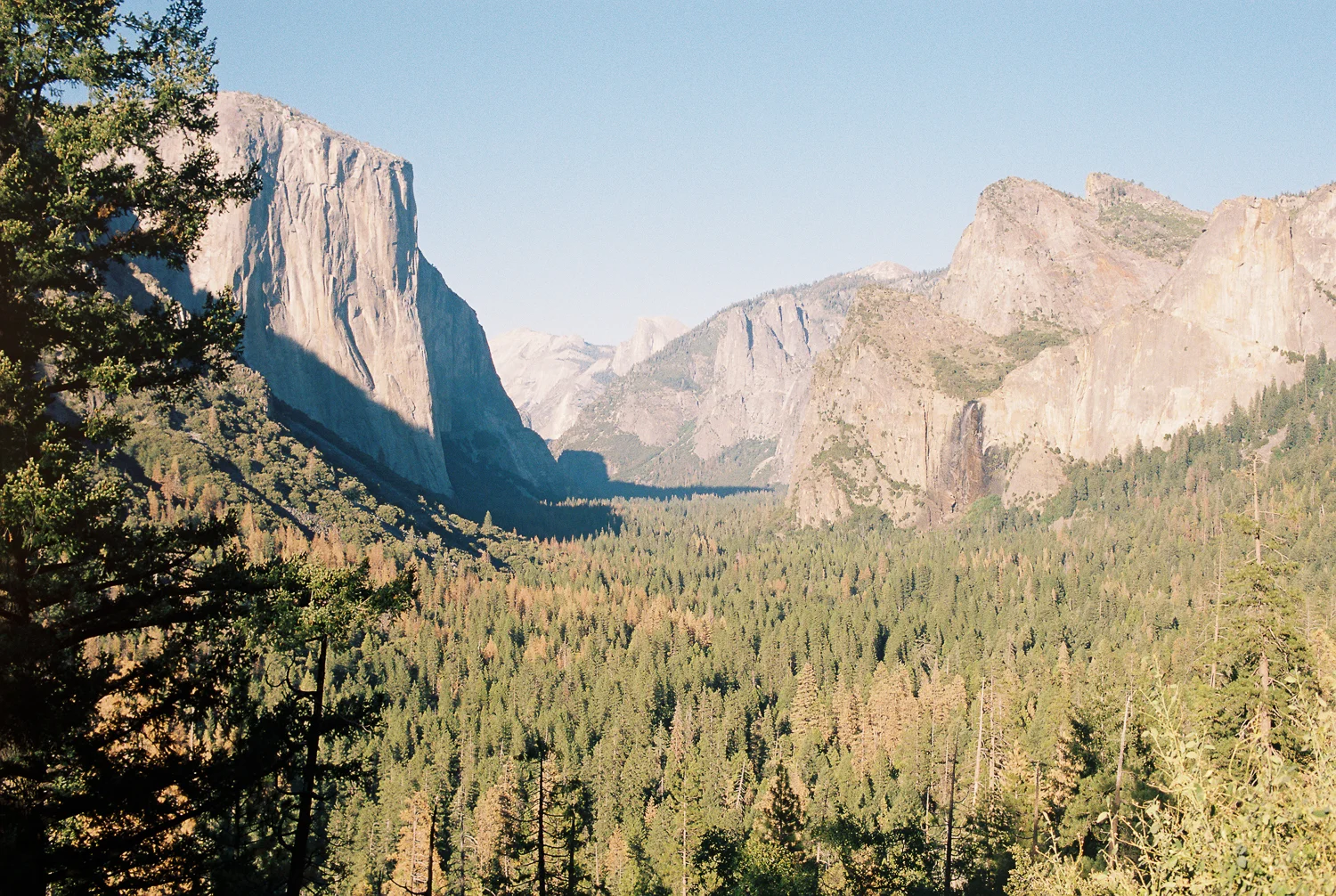 california_film-13.jpg