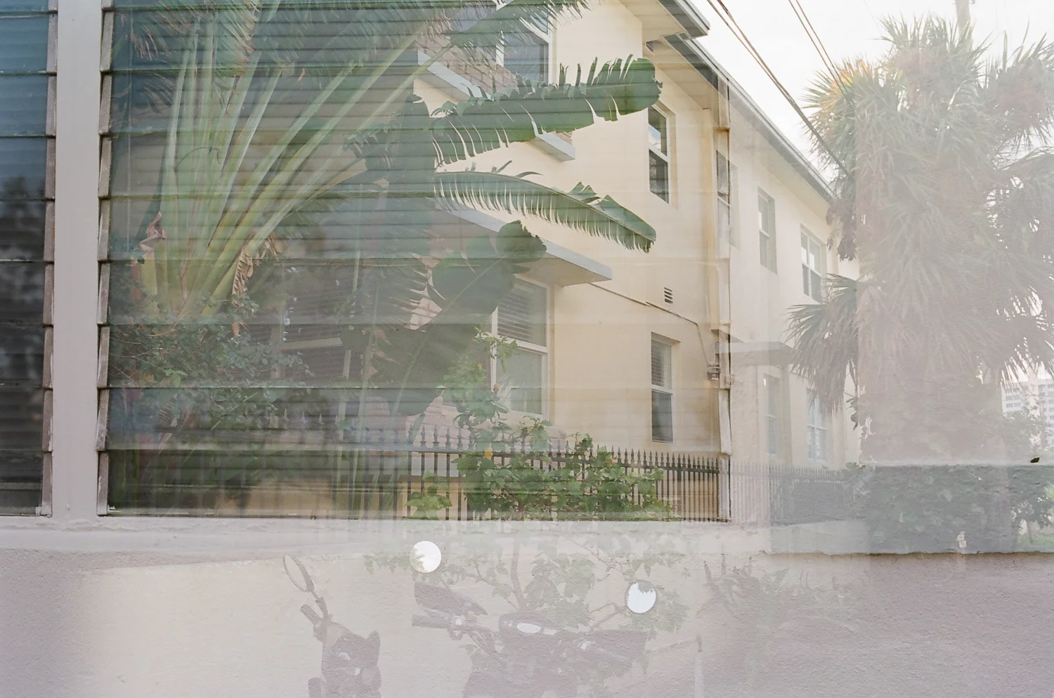 miamibeach_saintpatricks_southbeach_jacquelinecuervo_film-11.jpg