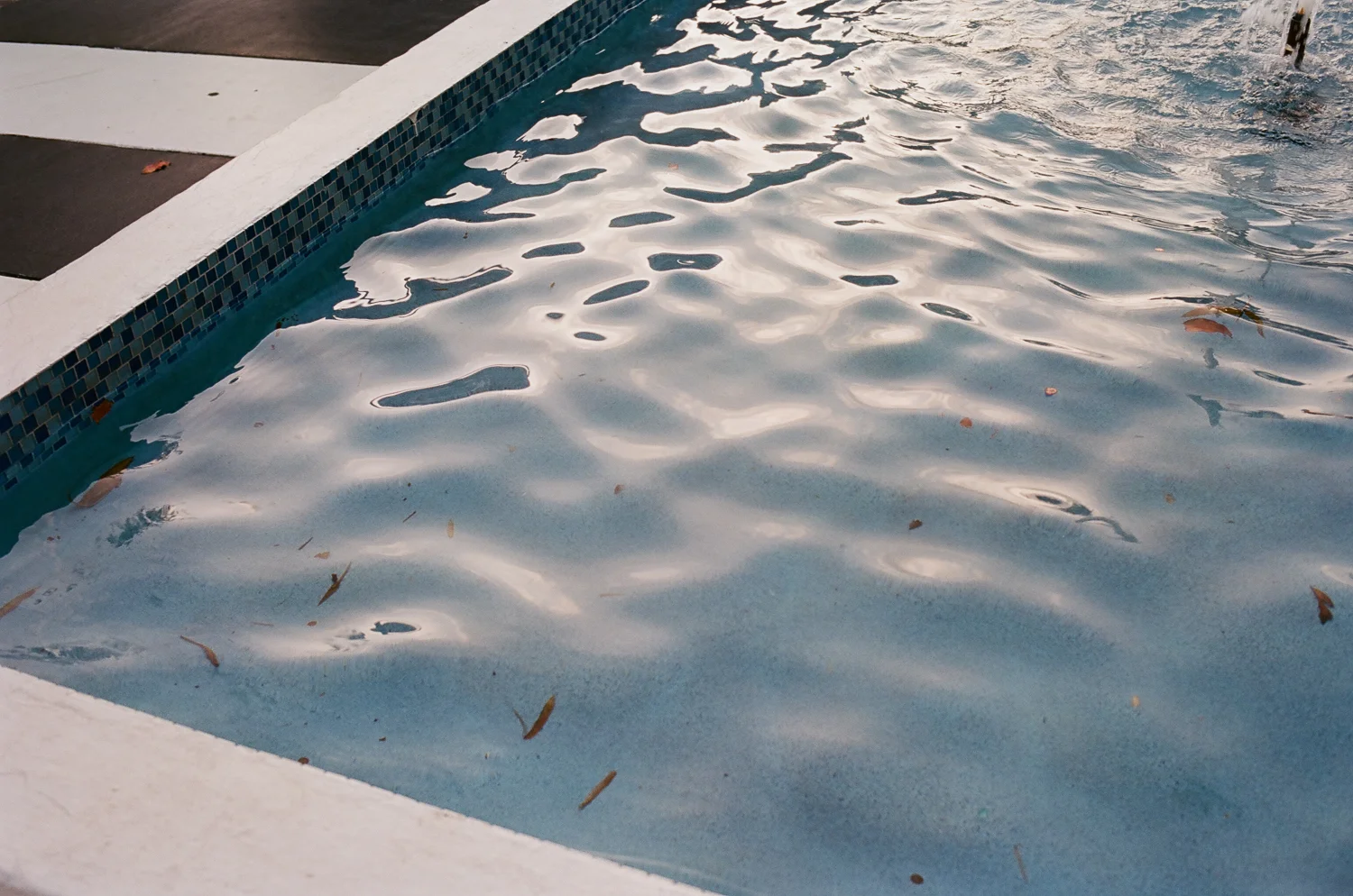 filmphotographer_miamibeach-2.jpg