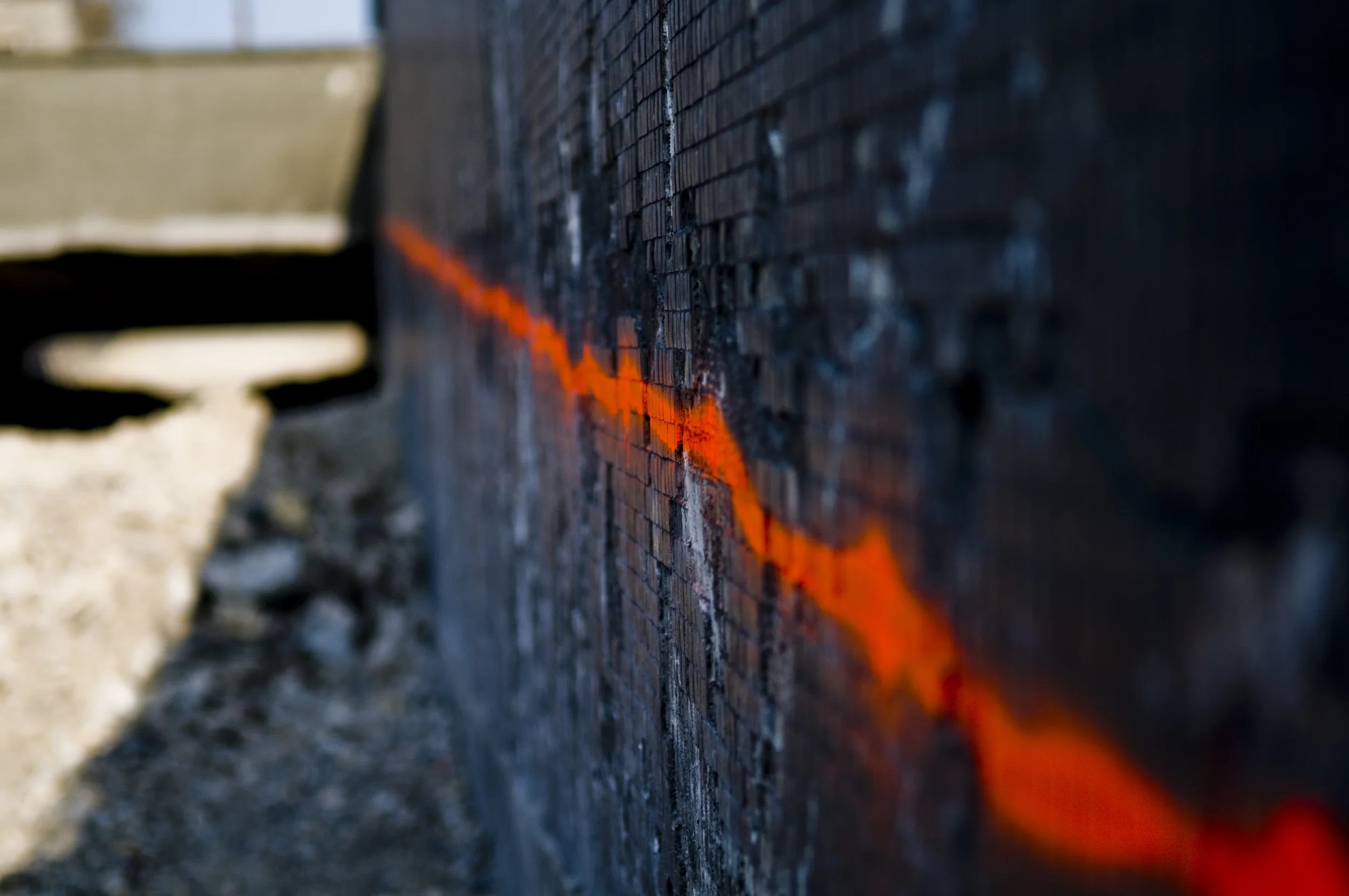 DSC_8660.jpg