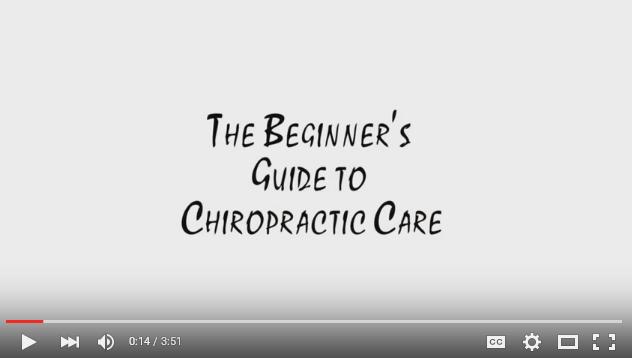 The Beginner's Guide to Chiropractic
