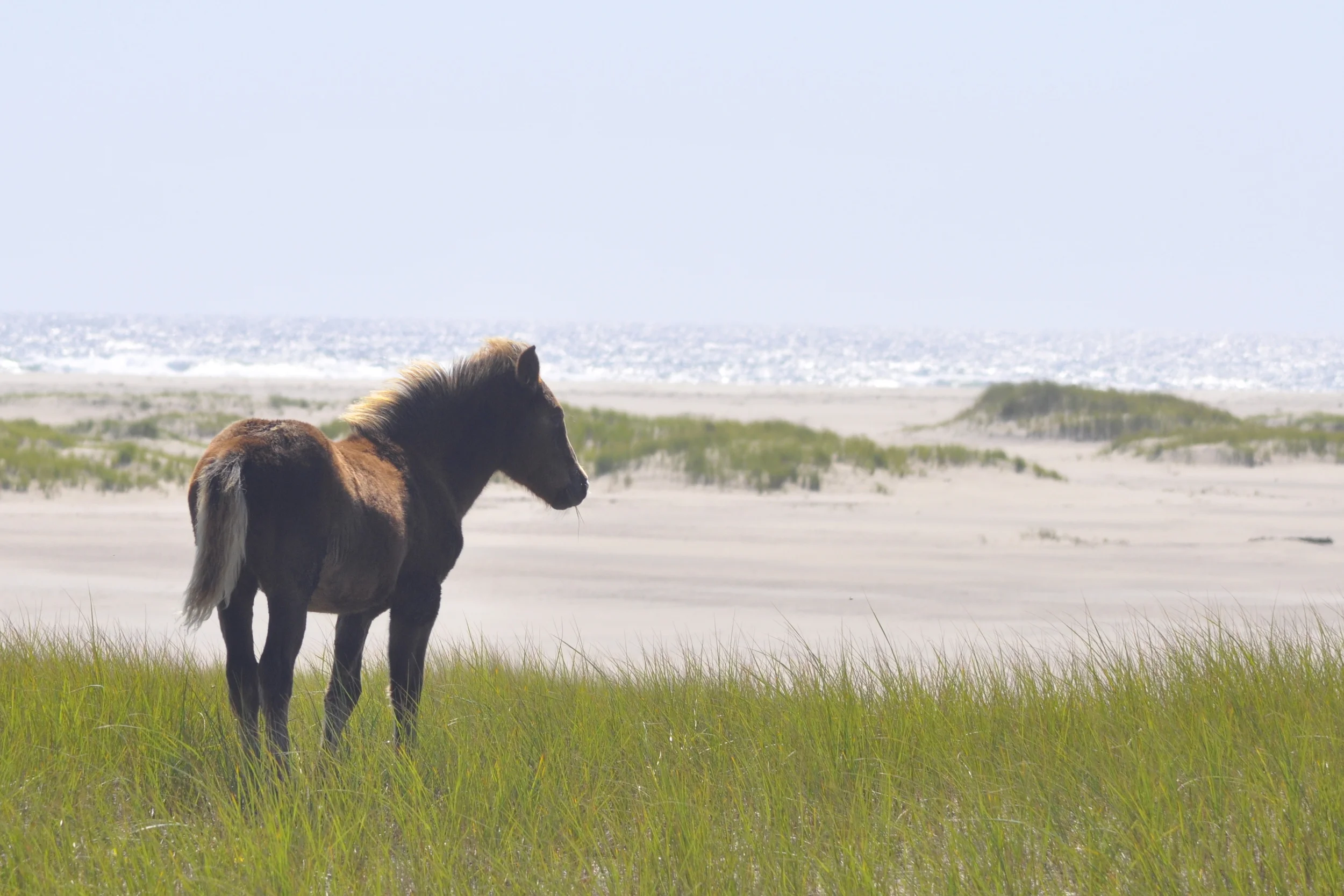 _DSC0624_2 - Version 2.JPG