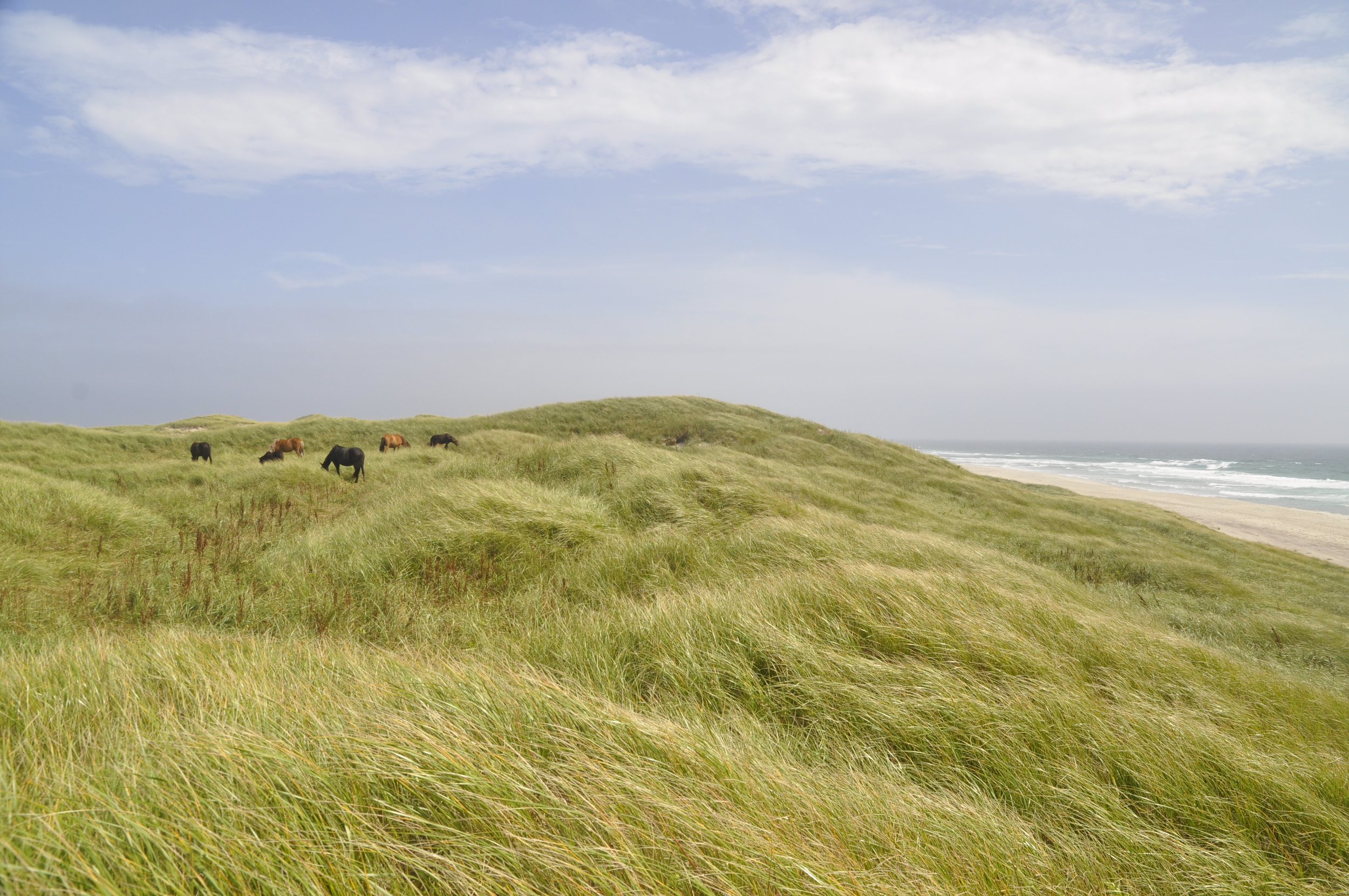 sable island