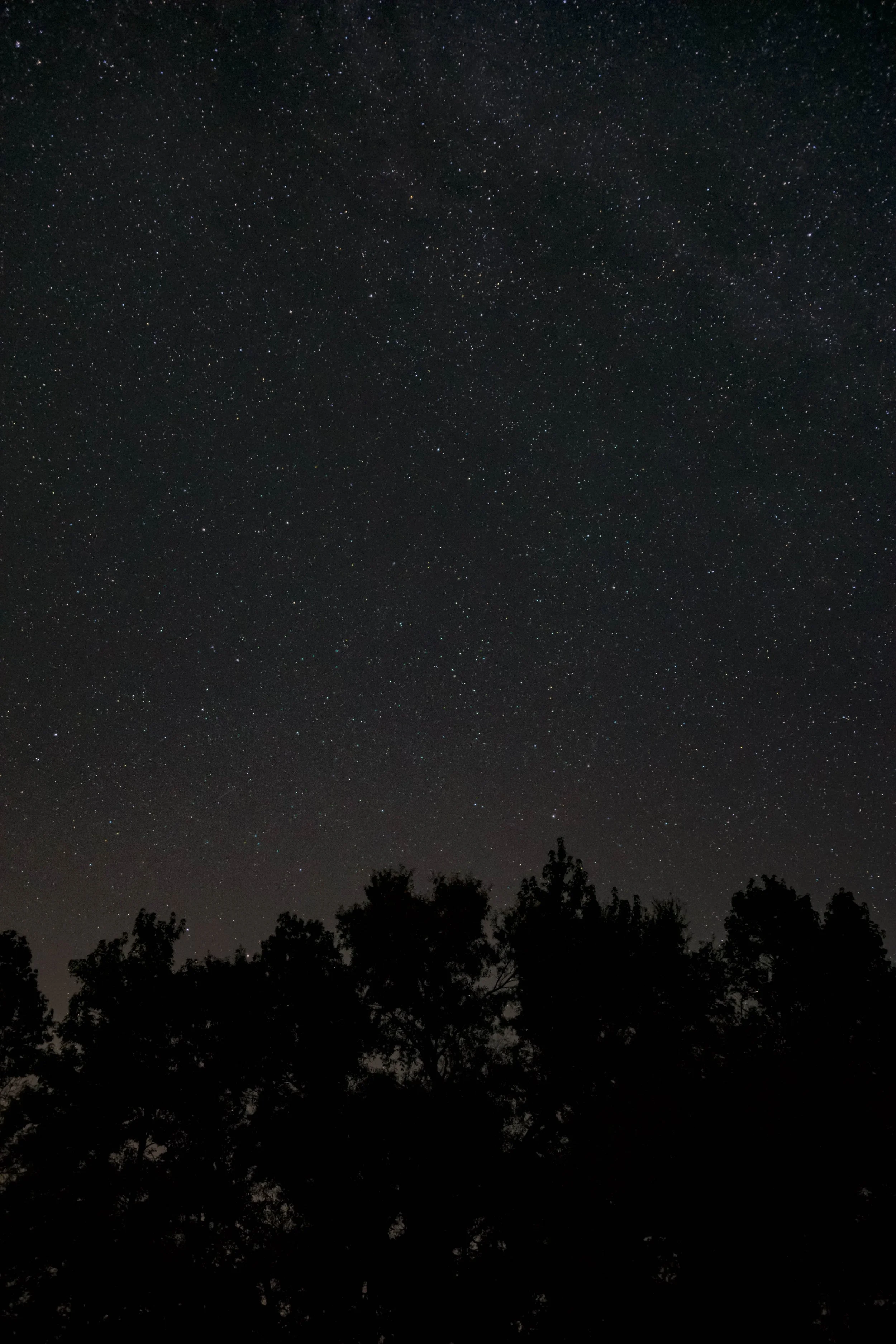 Image by Christopher Jolly / Unsplash