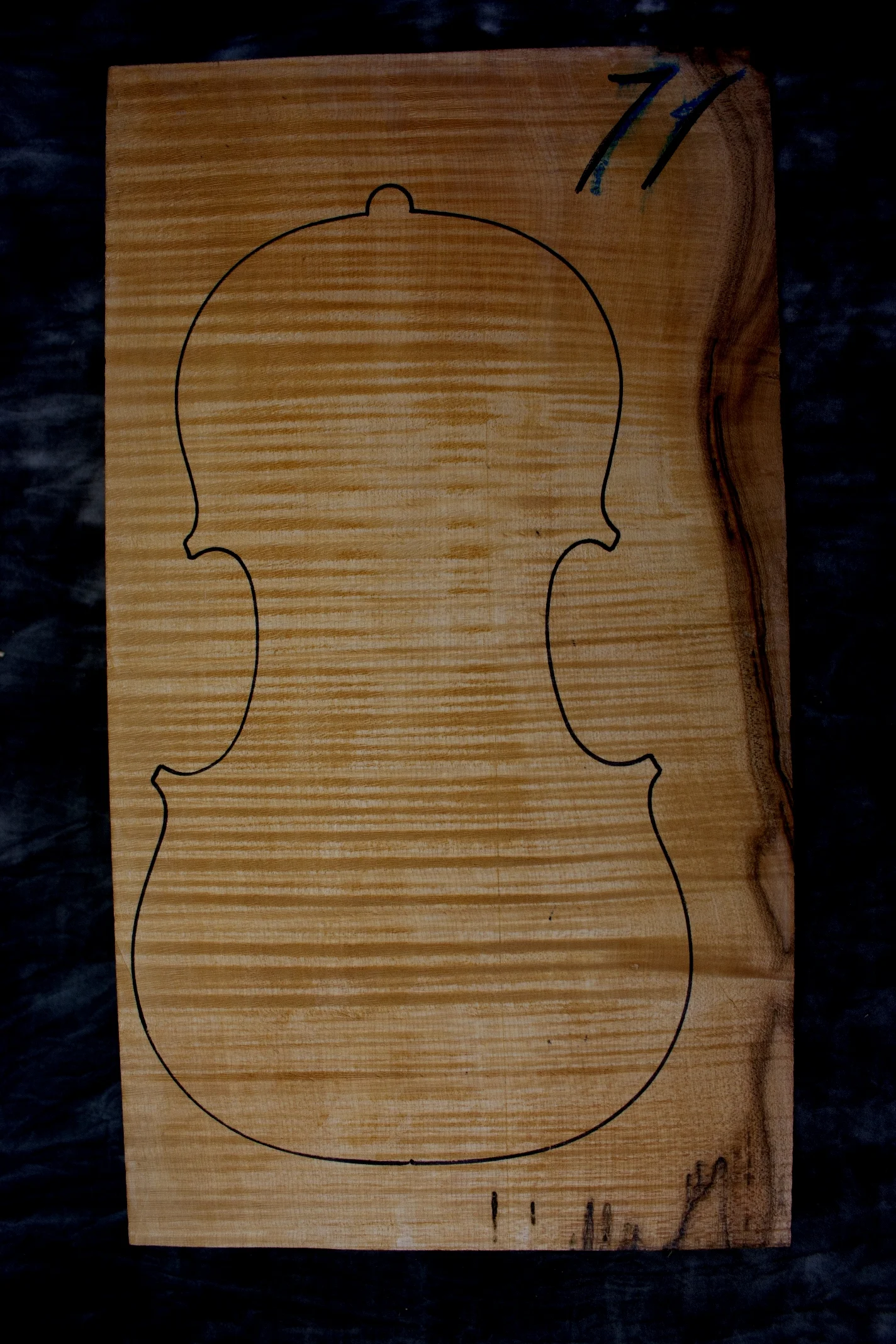 71.jpg