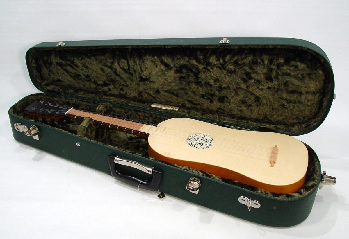 Instrument in the plush Kingham case 