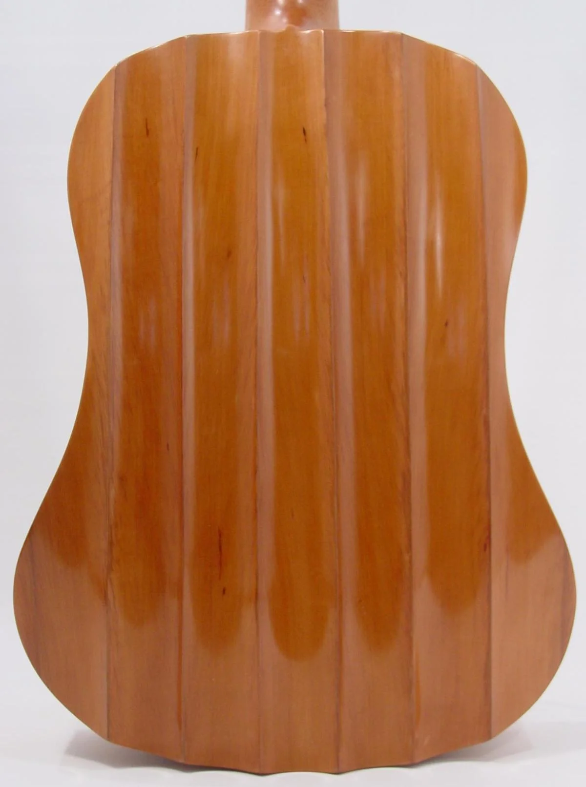 Back Detail