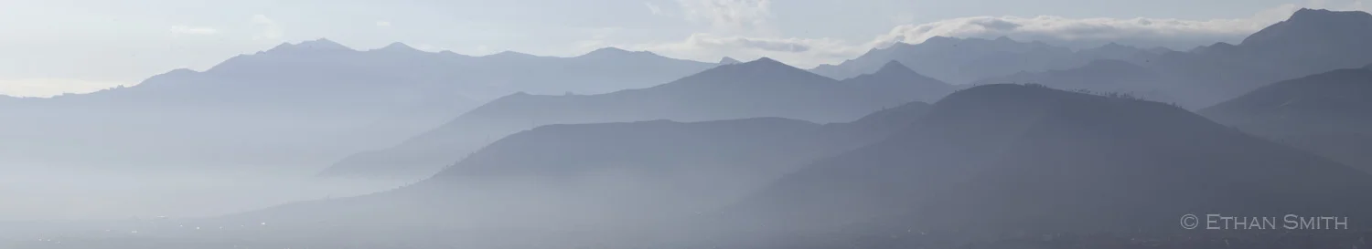 Fog