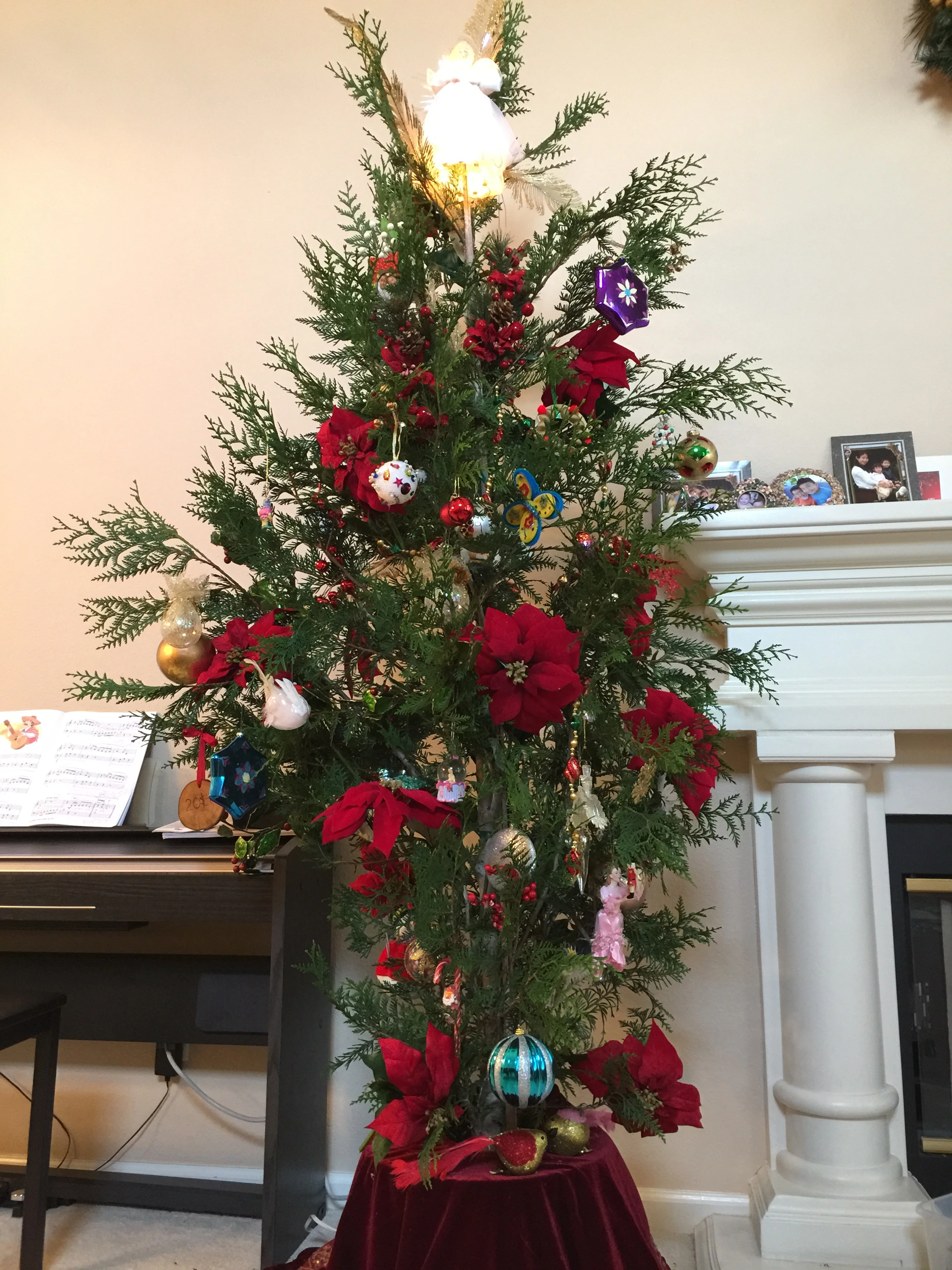 Holiday Rent-A-Tree 2015