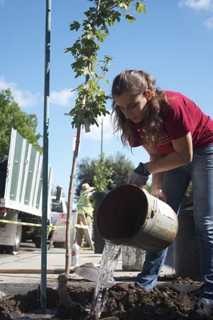 Tree Care: Watering your new tree — Our City Forest