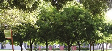 memorial after cmyk_opt.jpeg