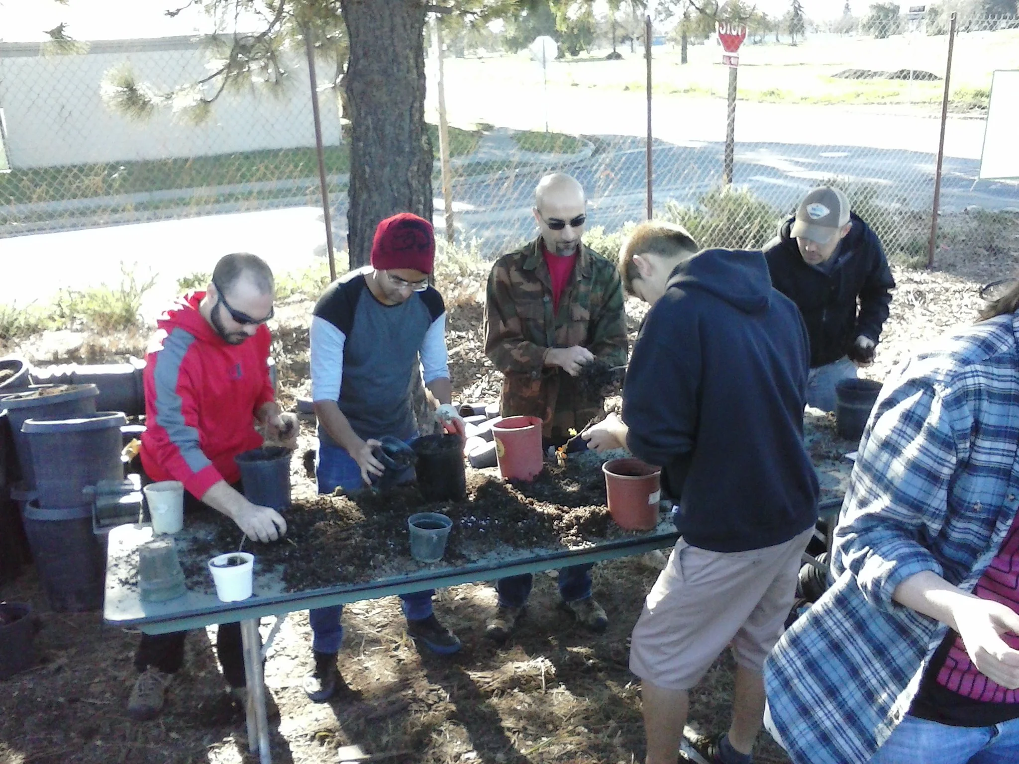 The Tree Amigos-in-Training learning how to transplant