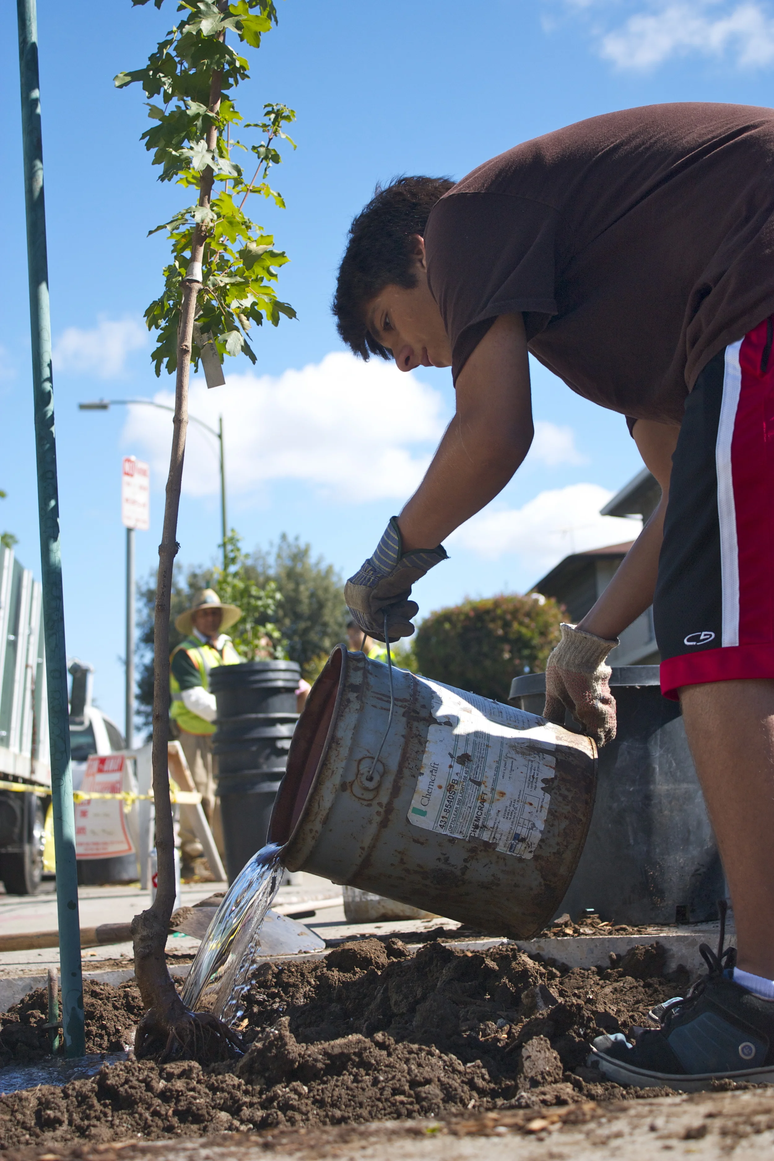 "Trees need water and we need trees."
