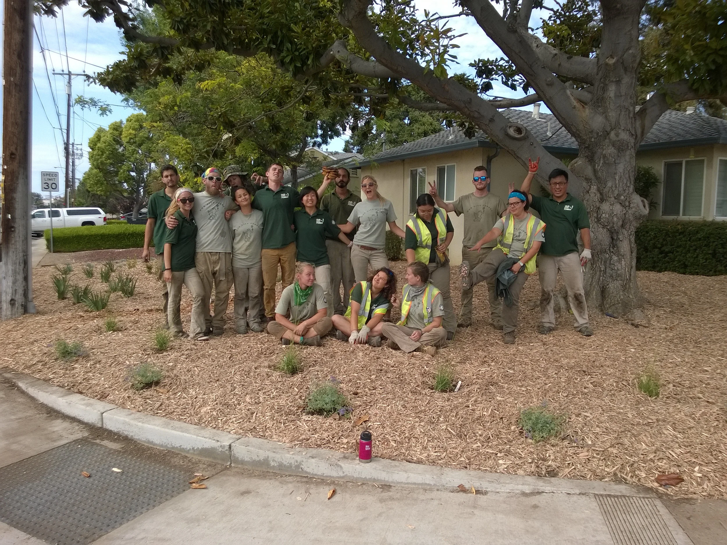 Busted!  A DIY easy and eco-friendly guide to Lawn-busting