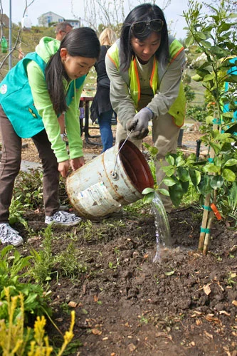 Save Your Trees - Heat Wave Watering Alert